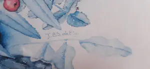 Janneke Brinkman-Salentijn - Bloemenweelde I en II kopen? Bied vanaf 50!