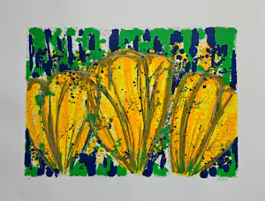 Ad van Hassel - Krokussen - 2000 - EA - groot kopen? Bied vanaf 60!