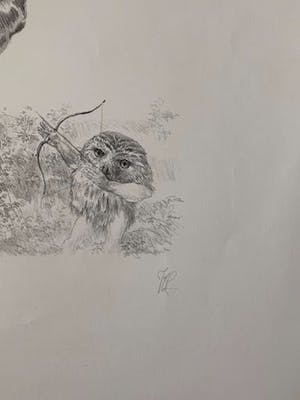 Peter Vos - De ontdekking van de giraffe kopen? Bied vanaf 35!