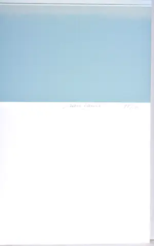 Maurits Van Saene - Zeefdruk - Gesigneerd - 70x50 cm - 1987 kopen? Bied vanaf 250!