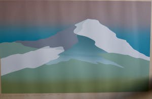 Marcus van Hoorn - Duinen kopen? Bied vanaf 50!