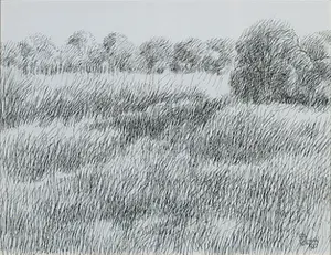 Bernard Koelman - Pentekening, Gras en graan - Ingelijst kopen? Bied vanaf 1!