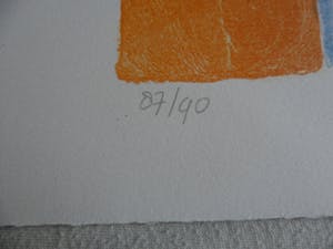 Ada Breedveld - Zeefdruk. Titel, "Viooliste". kopen? Bied vanaf 50!