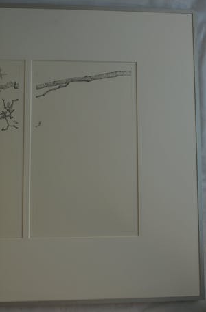 Reinder Homan - Ingelijste dubbele ets, Z.T. , Bloesemtakken in de knop - 1988 kopen? Bied vanaf 1!