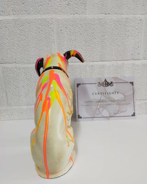 Hannes D'Haese - Hondje kopen? Bied vanaf 125!