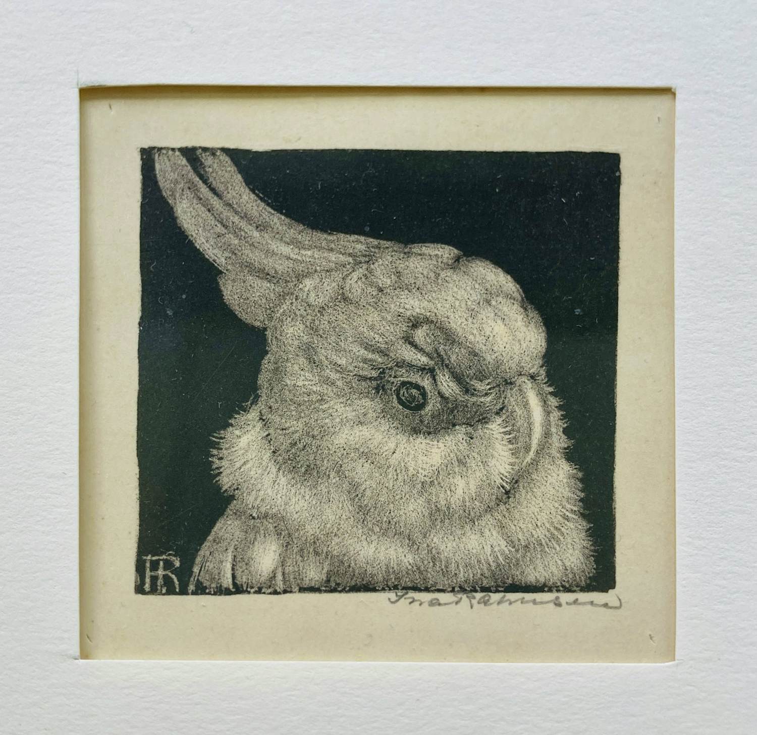 Ina Rahusen - Kakatoe kopen? Bied vanaf 45!