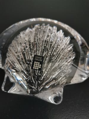 Daum Nancy - St jacques schelp kopen? Bied vanaf 53!