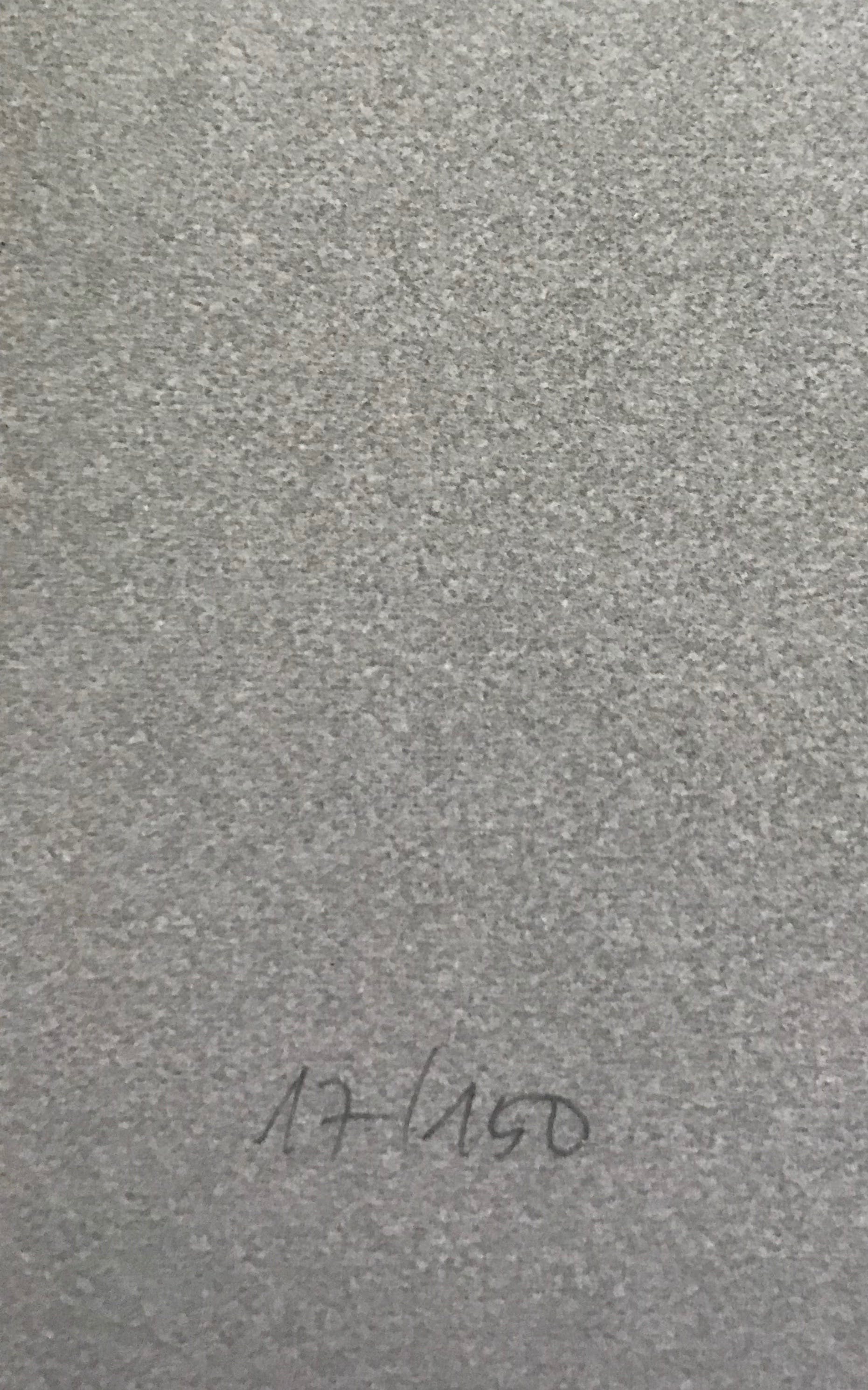 Alain Le Foll - Lithografie - 'Le Meduse' - 17/150 - Gesigneerd kopen? Bied vanaf 1!