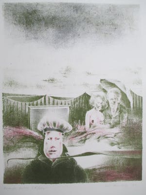 Wout Muller - Litho Wonderkind kopen? Bied vanaf 50!