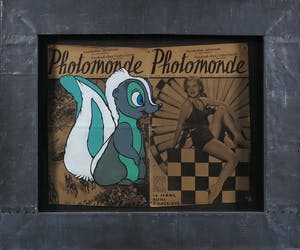 Jan Bollaert - Acryl op papier, Photomonde skunk - Ingelijst kopen? Bied vanaf 50!