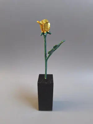 Corry Ammerlaan - Dank voor uw inzet kopen? Bied vanaf 30!