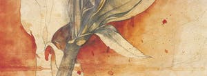 Bruno Bruni - AMARYLLIS Handgesigneerde kleurenlitho, vanaf € 1. kopen? Bied vanaf 1!