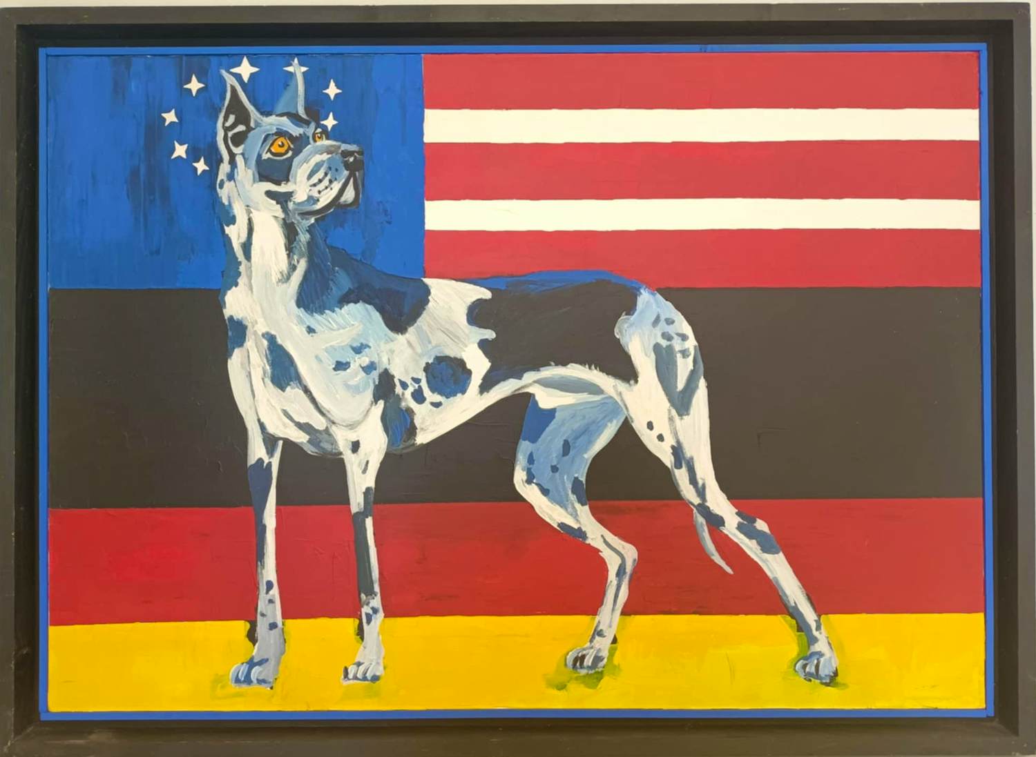 Ivo Kamphuis - Duitse Dog kopen? Bied vanaf 25!