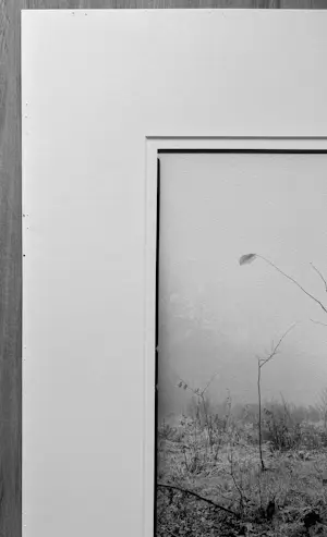 Ralph Janowski - Zonder titel kopen? Bied vanaf 30!