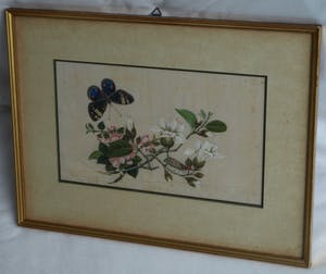 Niet of onleesbaar gesigneerd - 2 Oude ingelijste gouaches (?) op papier , Vlinders kopen? Bied vanaf 1!