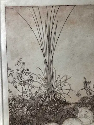 Jan Mankes - Vier muizen - Gesigneerd - 1916 najaar kopen? Bied vanaf 550!