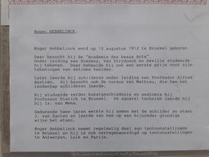 Roger Hebbelinck - Amsterdam "sint Nikolaas". Met echtheidscertificaat. kopen? Bied vanaf 75!