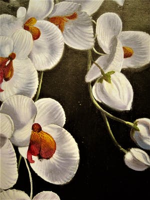 Cor Jacobi - in 1959 Magisch Realistisch geschilderd "Witytte Orchidee aan tak" gesigneerd kopen? Bied vanaf 64!