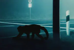 Mr Strange - Verkeerslichten kopen? Bied vanaf 75!