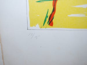 Thom de Jong - Paper 'n eggs - grote zeefdruk - oplage slechts 15 kopen? Bied vanaf 45!