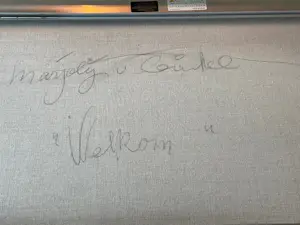 Marjolijn van Ginkel - Welkom kopen? Bied vanaf 300!