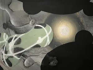 Anutosh - HET ONTSTAAN VAN OPWINDING kopen? Bied vanaf 300!