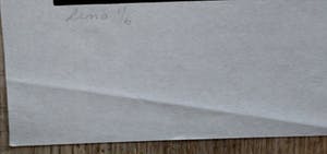 Frits Haans - Linosnede kopen? Bied vanaf 45!