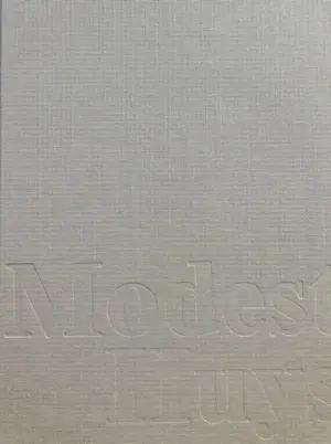 Modest Huys - Leven en werk van Modest Huys (1874-1932) kopen? Bied vanaf 40!