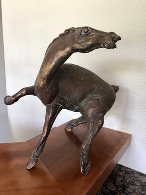 Jos Dirix - Steigerend paard kopen? Bied vanaf 900!