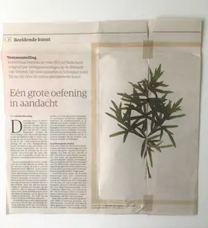 herman de vries - Kunstenaarsboek - Gesigneerd met opdracht - Diversen - Totaal 14 items kopen? Bied vanaf 150!