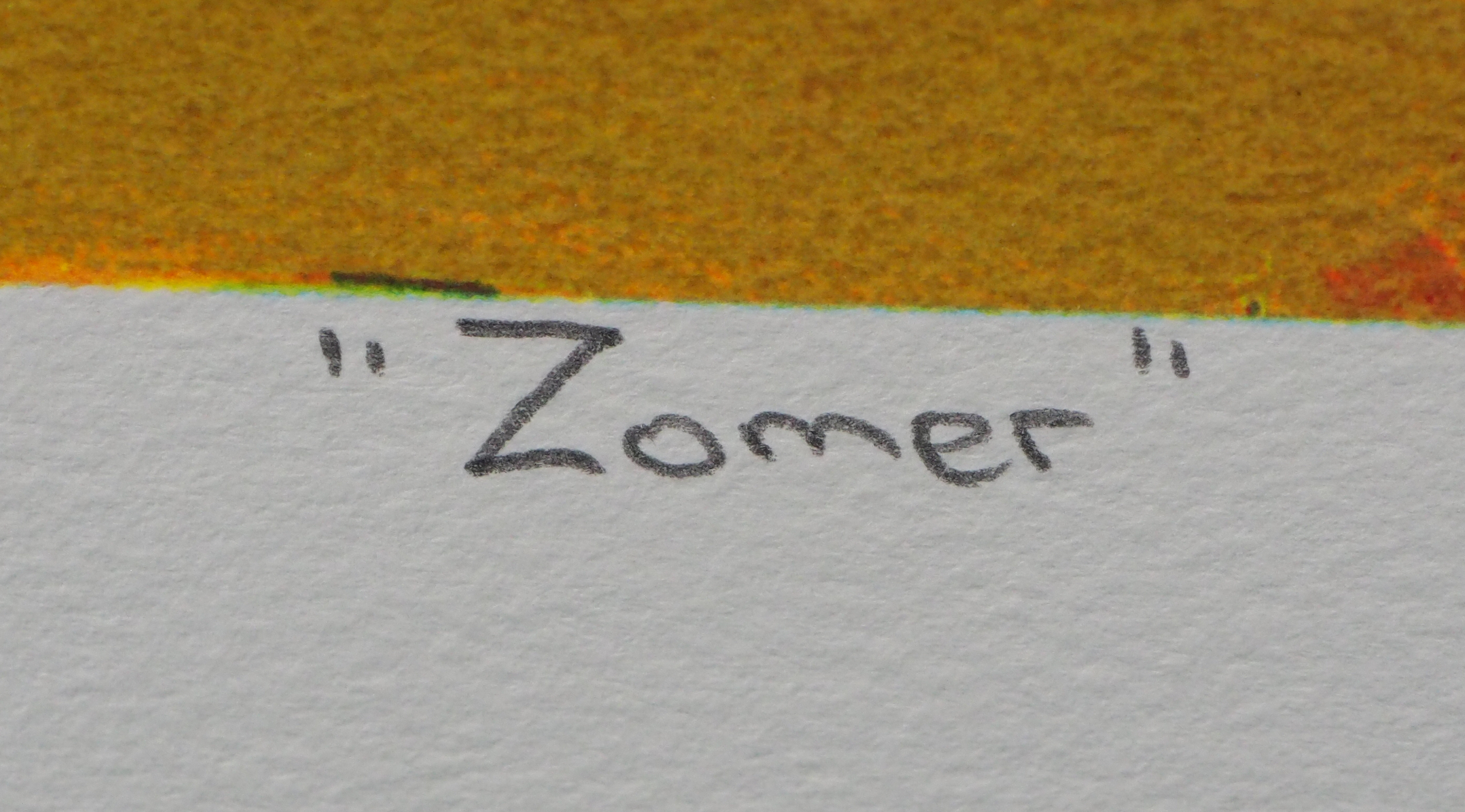 Jentsje Popma - Zomer kopen? Bied vanaf 50!