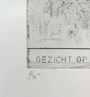 AcheterWillem Snitker - Gezicht op Vlooienveld, Haarlemmer Hout, ets? Enchérissez de 40!