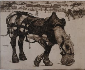 Pieter Dupont - Etenstijd kopen? Bied vanaf 120!