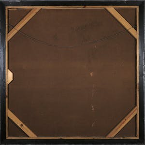 Jan Bollaert - Gemengde techniek op board, Ongewervelden - Ingelijst (Zeer Groot) kopen? Bied vanaf 80!
