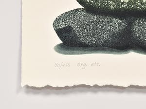 Niet of onleesbaar gesigneerd - Den Magpie , Den Merel & Den Fiskmås kopen? Bied vanaf 1!