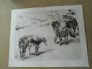 Wim Vaarzon Morel (jr.) - Grafieken - Paarden kopen? Bied vanaf 125!