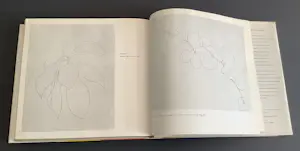 Ellsworth Kelly - Ellsworth Kelly kopen? Bied vanaf 55!