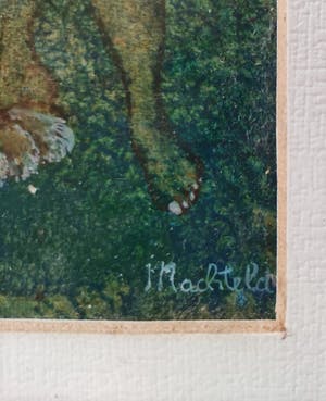 Machteld Hooyen - Au Club des Animaux kopen? Bied vanaf 50!