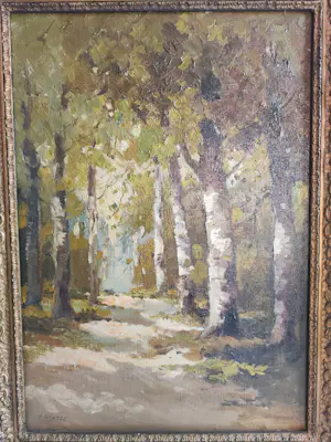 Cor Noltee - Het Zonnige Berkenpad kopen? Bied vanaf 90!