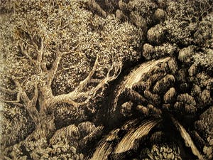 Paul Citroen - 3 vooroorlogse figuratieve Sepia tekeningen (bos)landschappen kopen? Bied vanaf 20!