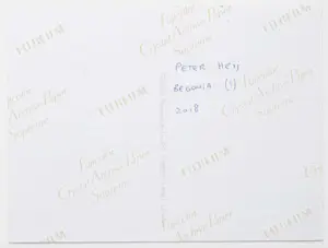 Peter Heij - Begonia (no.1) kopen? Bied vanaf 75!