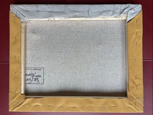 Corneille - Oiseau kopen? Bied vanaf 350!