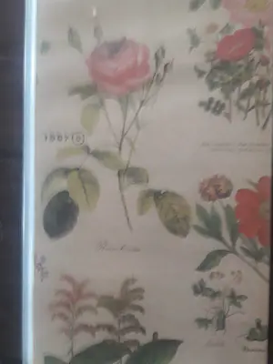 Allard Budding - Dit is geen margriet kopen? Bied vanaf 1!