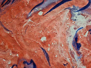 Theo Niermeijer - Ferroprint 1 kopen? Bied vanaf 1!