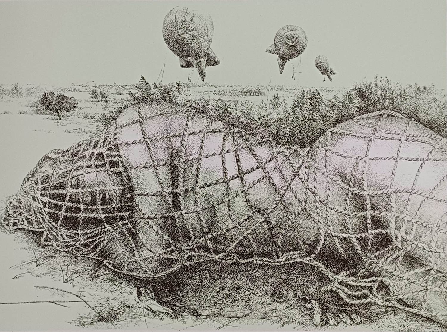 Clary Mastenbroek - zachte landing -gesigneerde litho verkocht voor € 69!