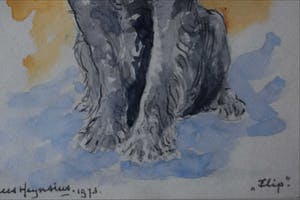 Kees Heynsius - Aquarel - "Flip" kopen? Bied vanaf 75!