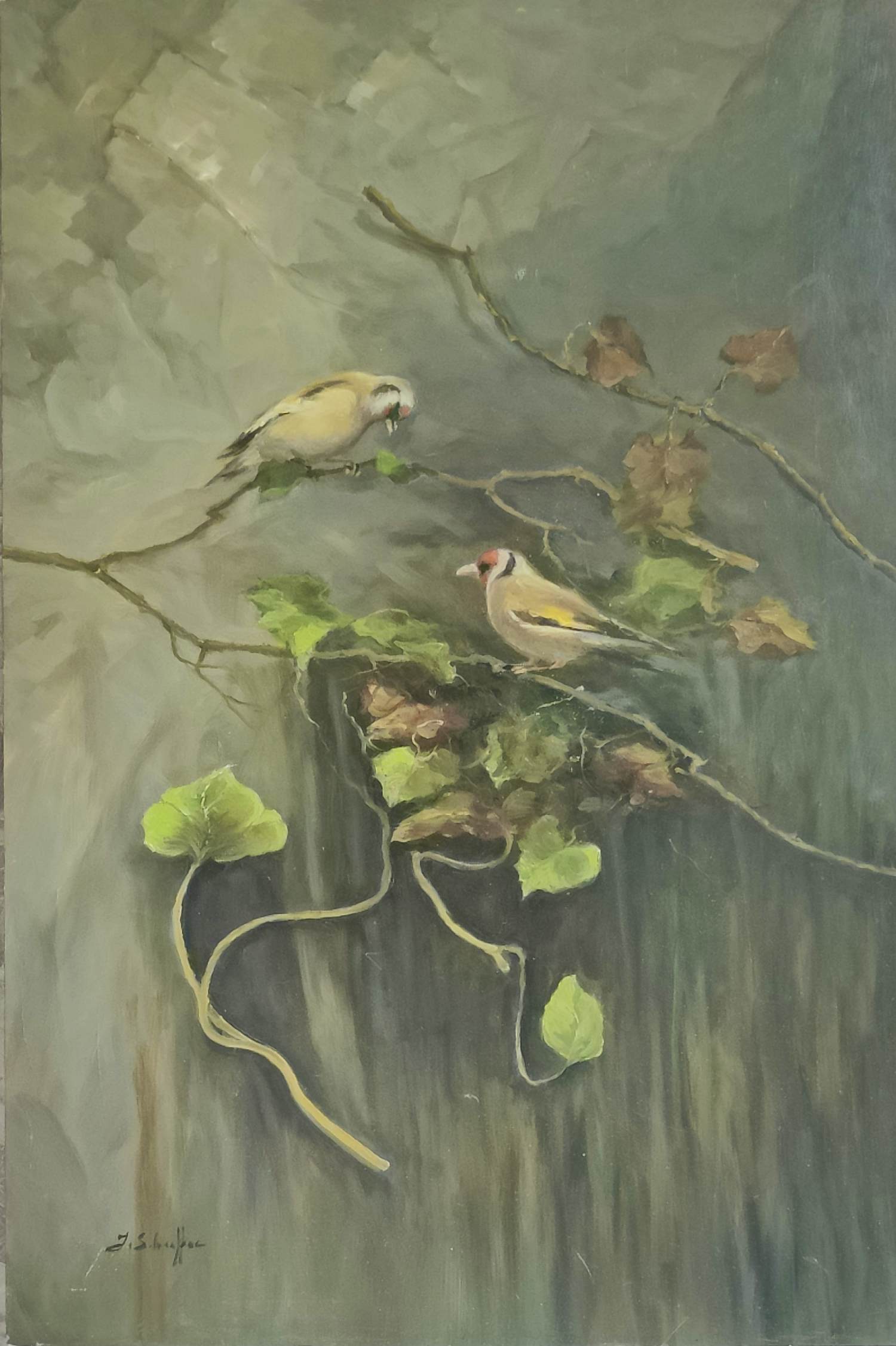 Jan Schaeffer - Vogeltjes op klimplant kopen? Bied vanaf 99!