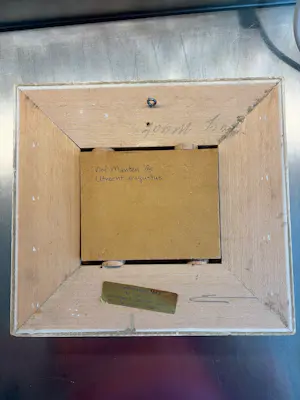 Nol Manten - Kust met zwemmende duim kopen? Bied vanaf 300!