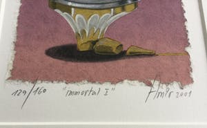 Sharon Amir - Immortal I | kleuren zeefdruk - ingelijst kopen? Bied vanaf 25!