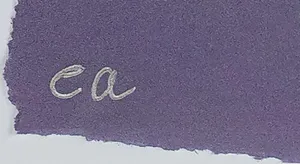 Herman Brood - Bohemian - Nieuw ingelijst (Groot) kopen? Bied vanaf 495!